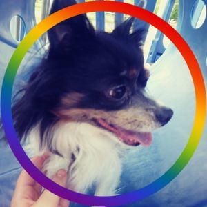 Meet your Posher, Olivia